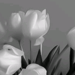 yaj