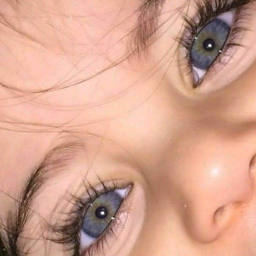 Analyn