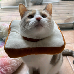 ali
