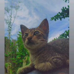Jelay
