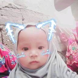 Apie Madid
