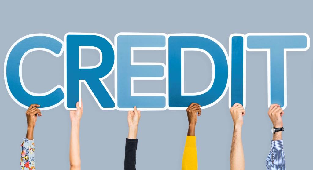 The importance of credit risk management | MarisIT