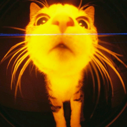 007