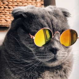 JD